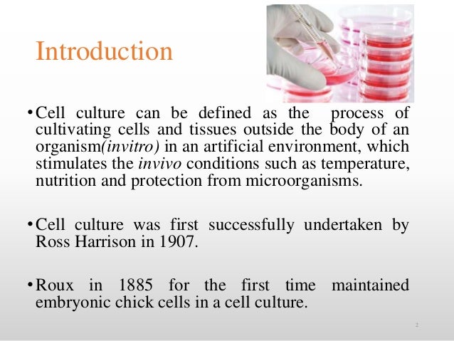 Animal Cell Culture Pdf